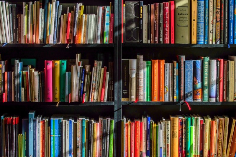 vitrine-ST RAPHAEL-min_books_bookstore_book_reading_shop_writer_sale_books_read-822866