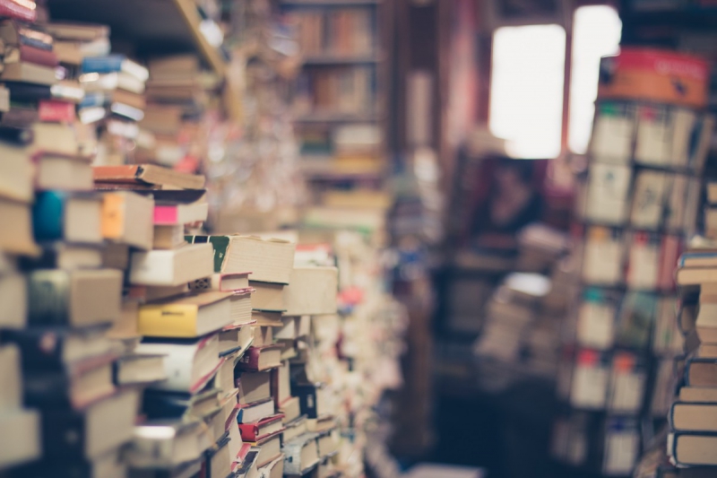 vitrine-ST RAPHAEL-min_books_stack_book_store_stack_of_books_2nd_hand_retro_hipster_shop-829090